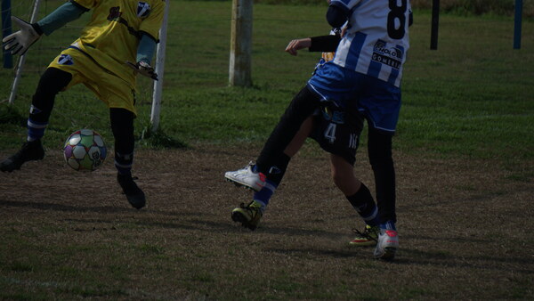 DSC02240.JPG
