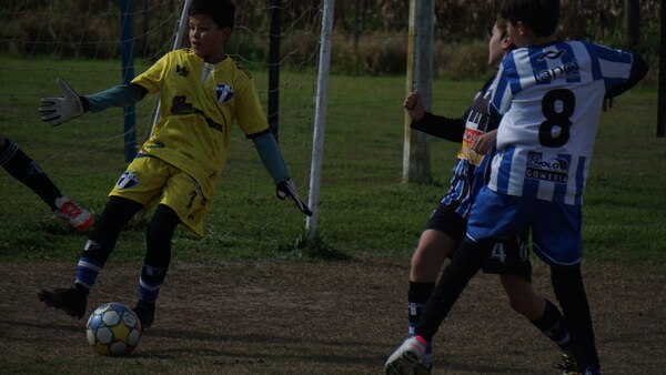 DSC02241.JPG