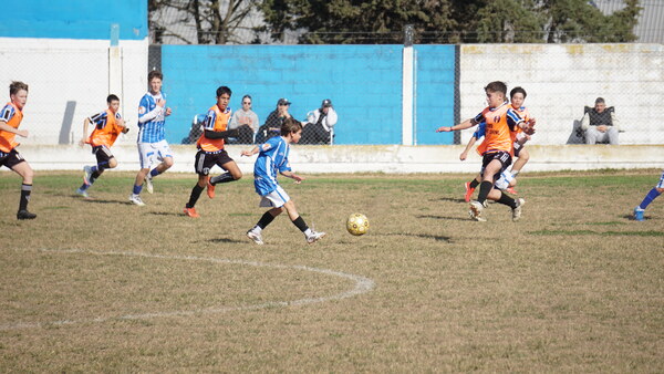 DSC02331.JPG