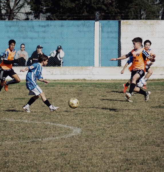 DSC02331.jpeg