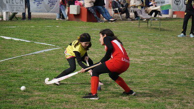 DSC02380.jpeg