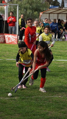 DSC02385.jpeg