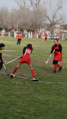 DSC02388.jpeg