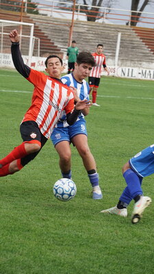 DSC04049.JPG12