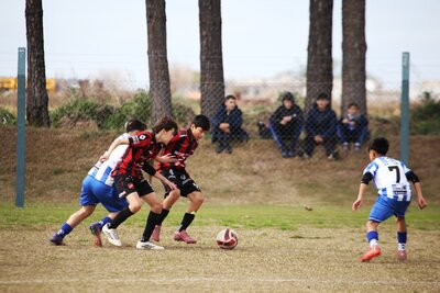 IMG_0306.JPG36