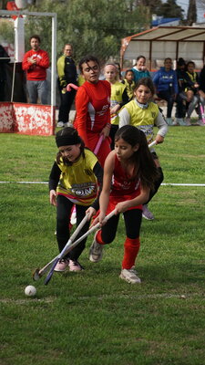 DSC02385.JPG37