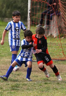 IMG_1305.JPG