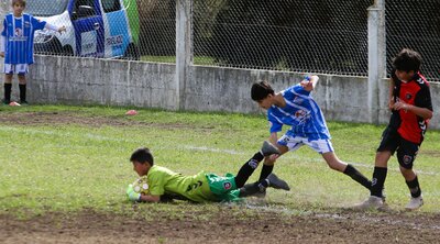 IMG_1334.JPG