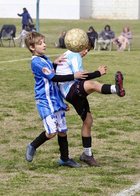 IMG_1443.jpeg27