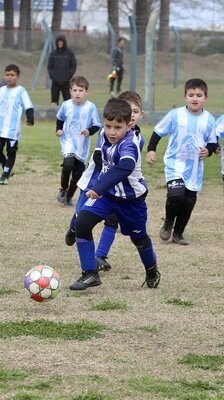 IMG_1512.jpeg12