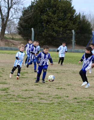 Futbol infantil