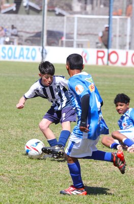 IMG_2547.JPG16