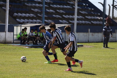 IMG_2647.JPG5