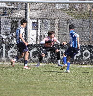 IMG_2660.JPG36