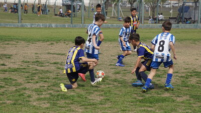 DSC05865.JPG1