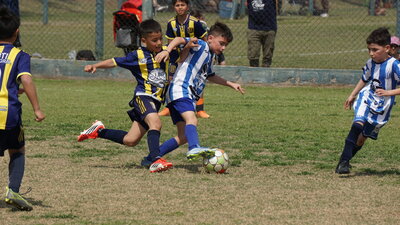 DSC06118.JPG29