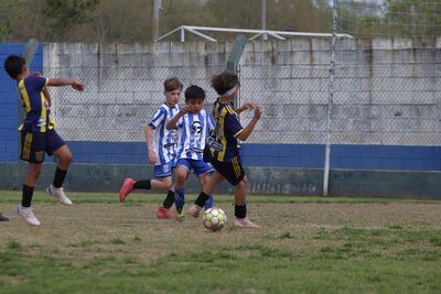 IMG_2830.JPG33