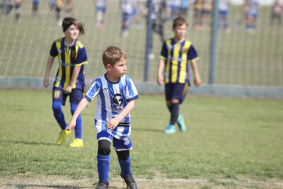 IMG_2913.JPG15