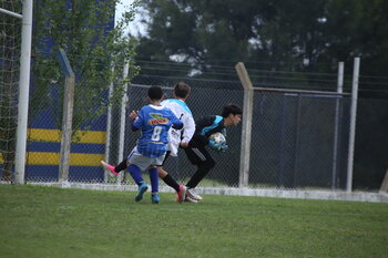 IMG_4339.JPG