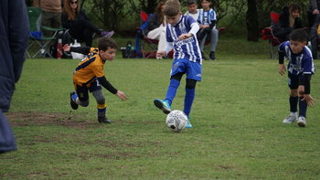 DSC06599.JPG