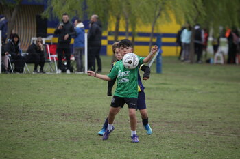 IMG_4233.JPG