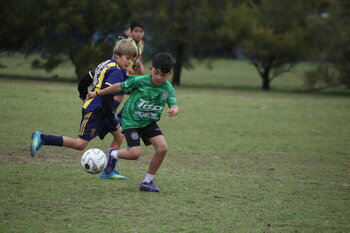 IMG_4235.JPG