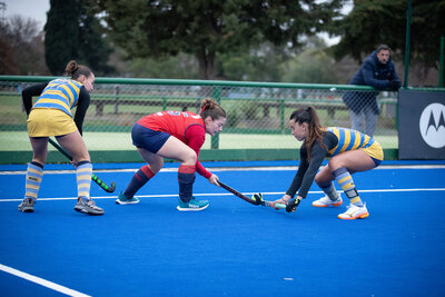 IMG_7532.jpg4