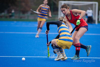 IMG_2344.jpg40