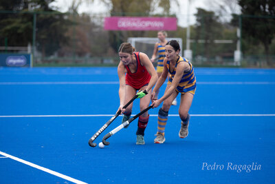 IMG_2350.jpg35