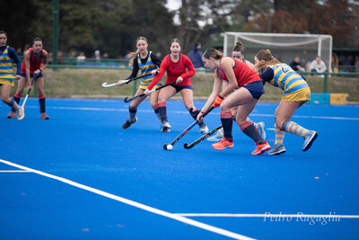 IMG_2355.jpg31