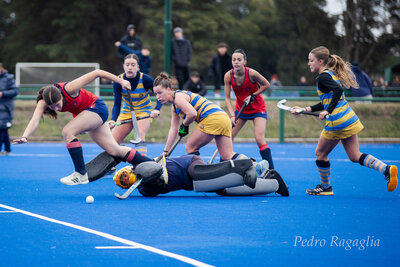 IMG_2372.jpg17