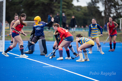 IMG_2376.jpg13