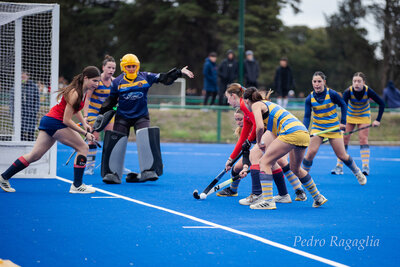 IMG_2377.jpg12