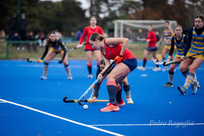 IMG_2410.jpg31