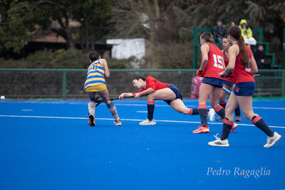 IMG_2425.jpg17
