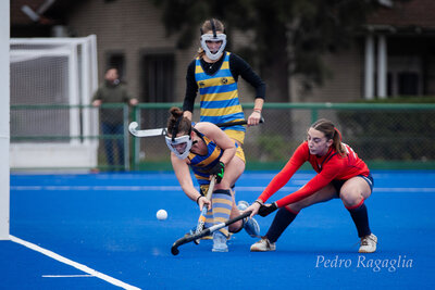 IMG_2429.jpg14