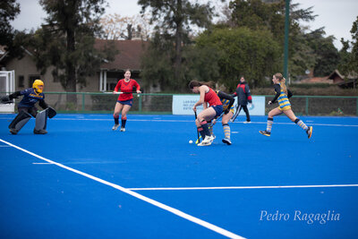 IMG_2439.jpg7