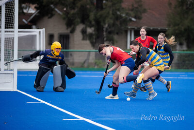 IMG_2440.jpg6
