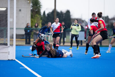 IMG_8381.jpg10