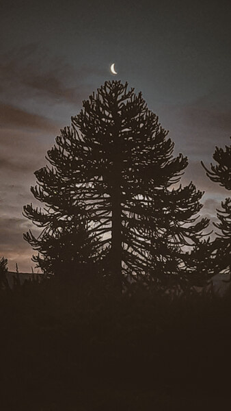 20260221_205319__1_.jpg