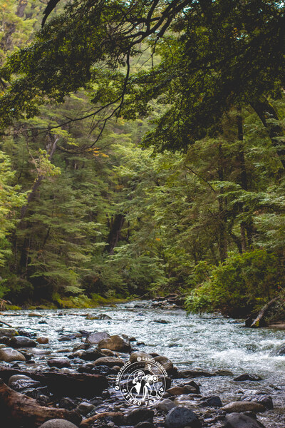 Rio_encantado-18.jpg