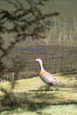 IMG_6479.jpg