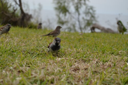 DSC_0263.JPG