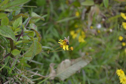 DSC_0291.JPG