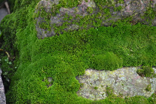 DSC_0396.JPG