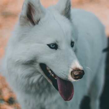 taylor-7DKg2HtZvwQ-unsplash.jpg