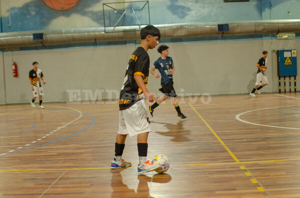 DSC_9610.jpg1