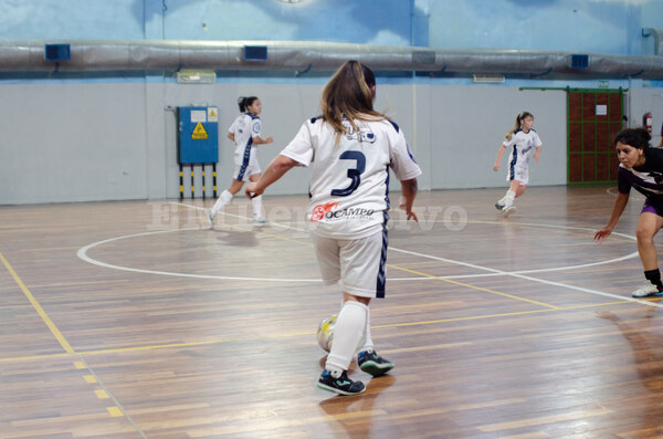 DSC_9768.jpg1