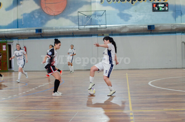 DSC_9849.jpg