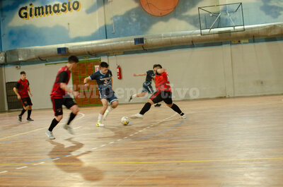 DSC_0248.jpg10